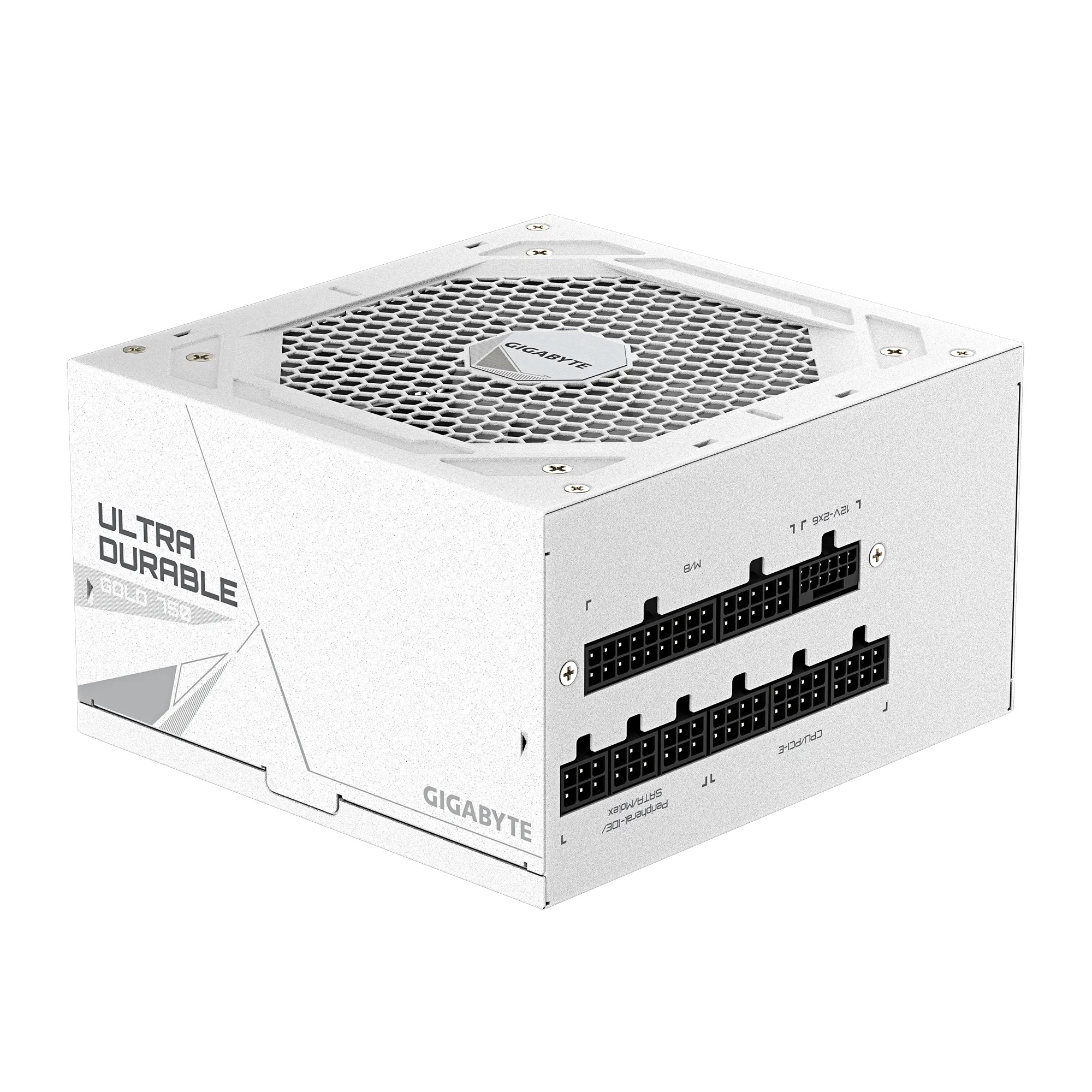 Fuente Gigabyte UD750GM PG5 ICE 750W 80+ Gold Modular ATX